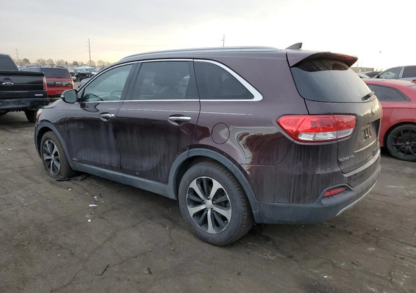 Kia Sorento cena 34000 przebieg: 104971, rok produkcji 2016 z Ruciane-Nida małe 79